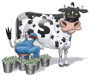 Fargo Diversion Authority Cash Cow